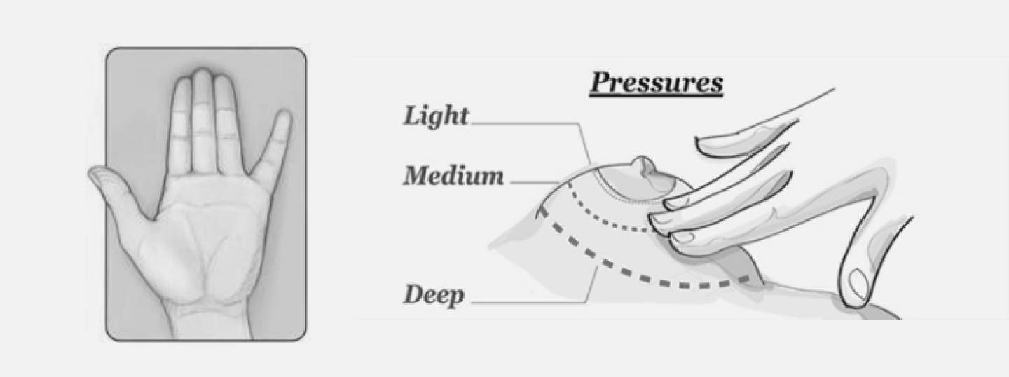 Check your breasts diagram