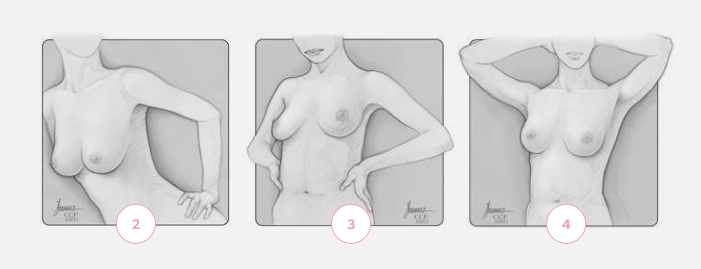 Check your breasts diagram